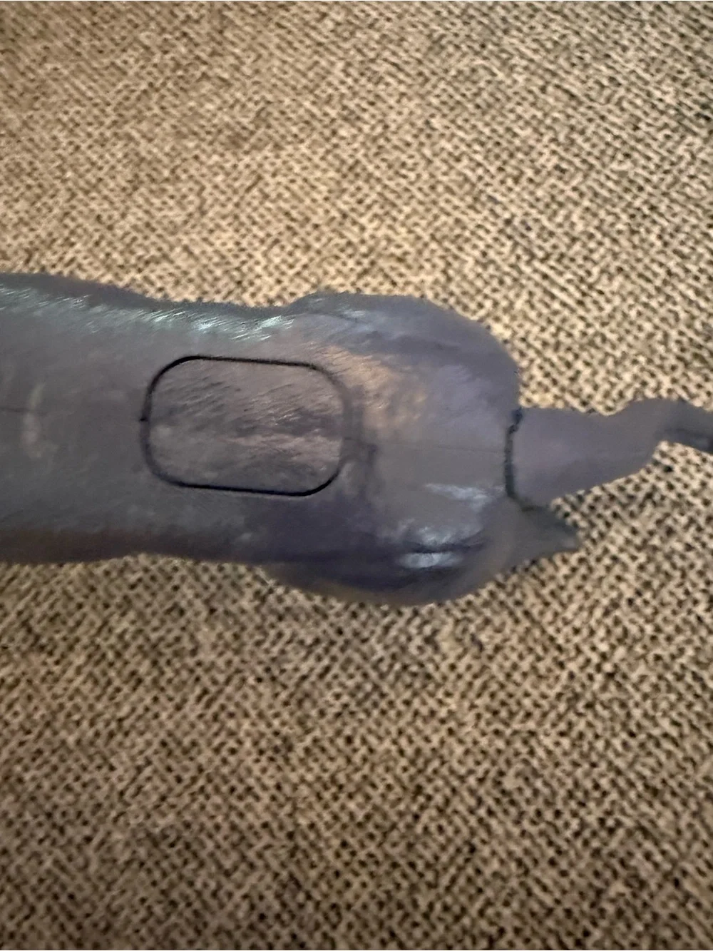 Panther action figure
